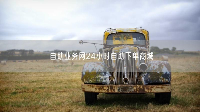 自助业务网：24小时下单，便捷高效在线商城