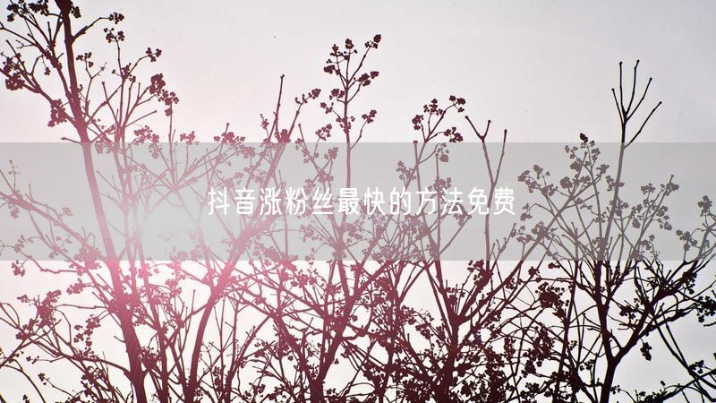 抖音涨粉丝最快的方法免费
