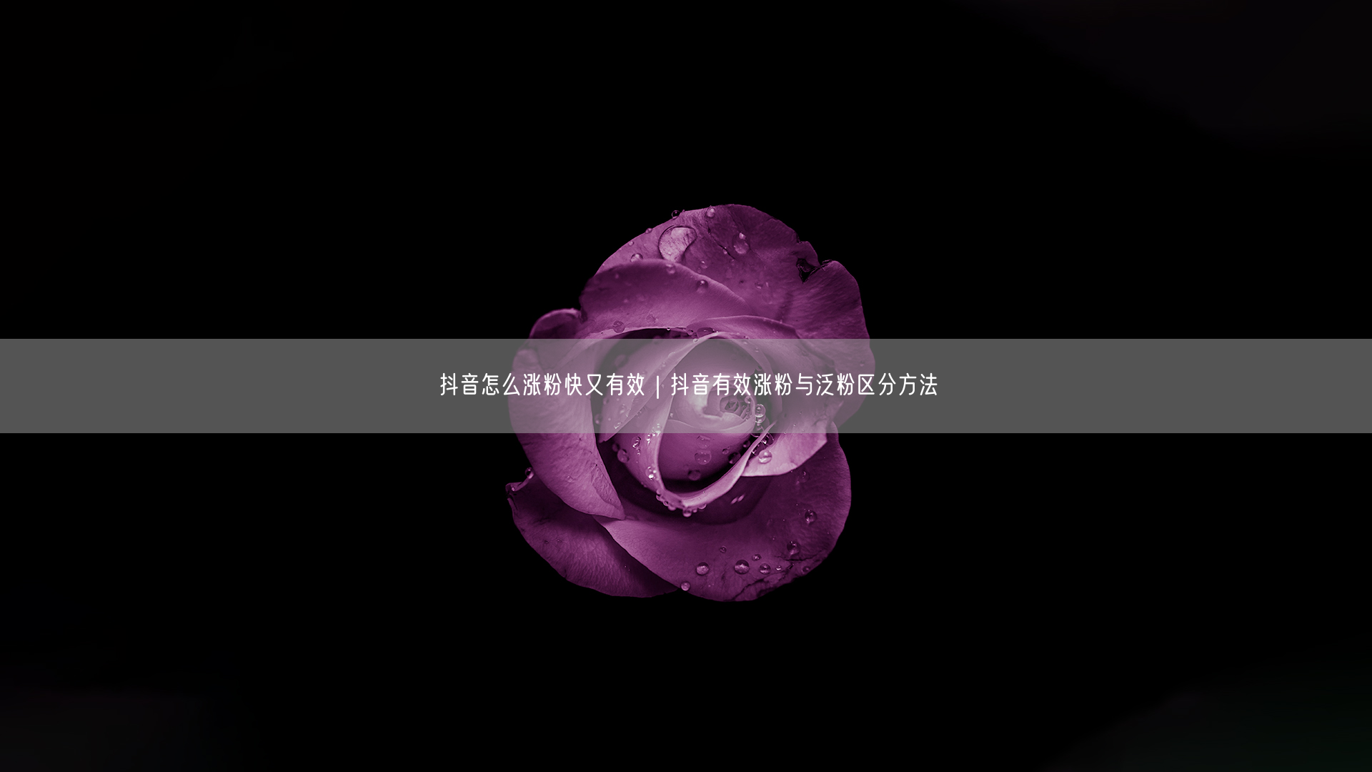 抖音怎么涨粉快又有效｜抖音有效涨粉与泛粉区分方法