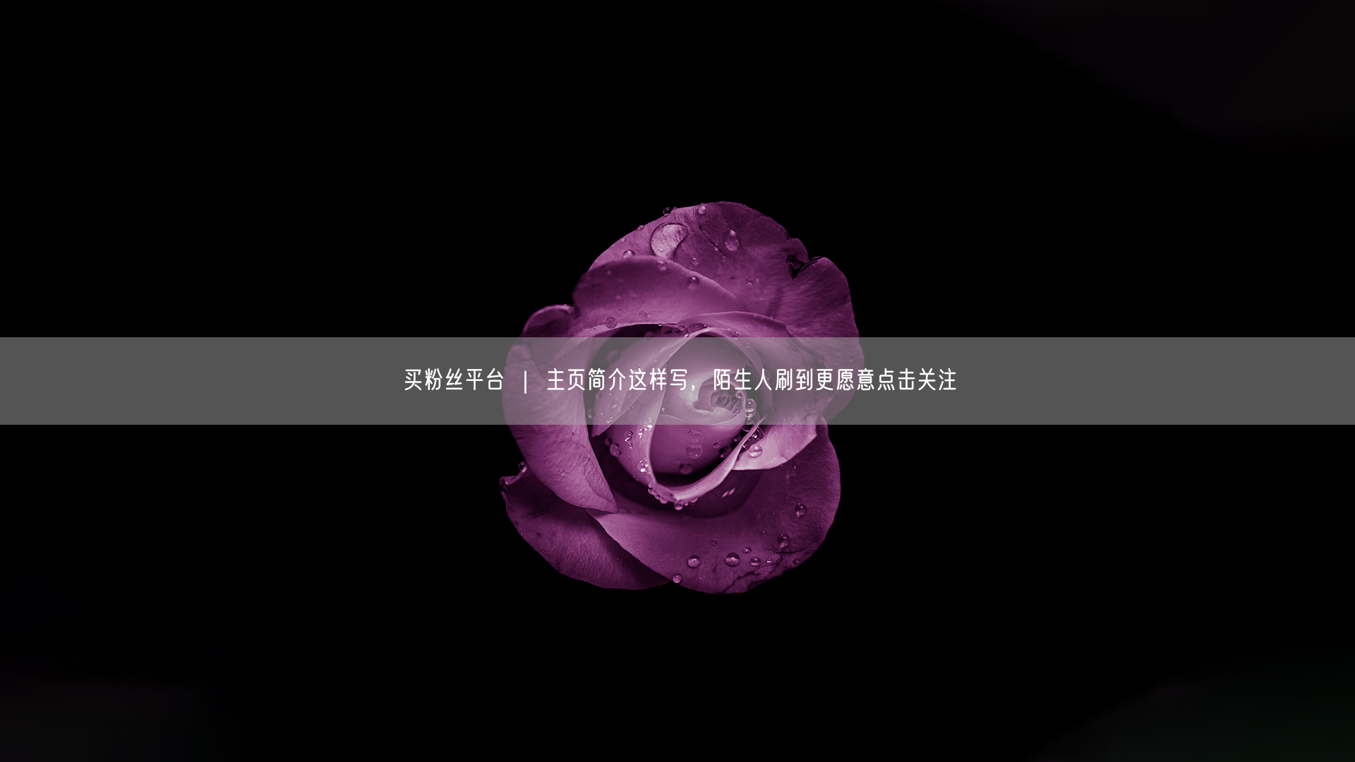 买粉丝平台 ｜ 主页简介这样写，陌生人刷到更愿意点击关注